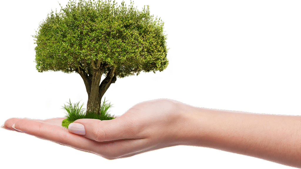 tree, growing, gardening, planting, growth, plant, nature, ecology, growing, growing, ecology, ecology, ecology, ecology, ecology